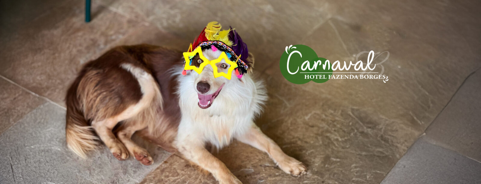 Imagem - Fazenda Borges